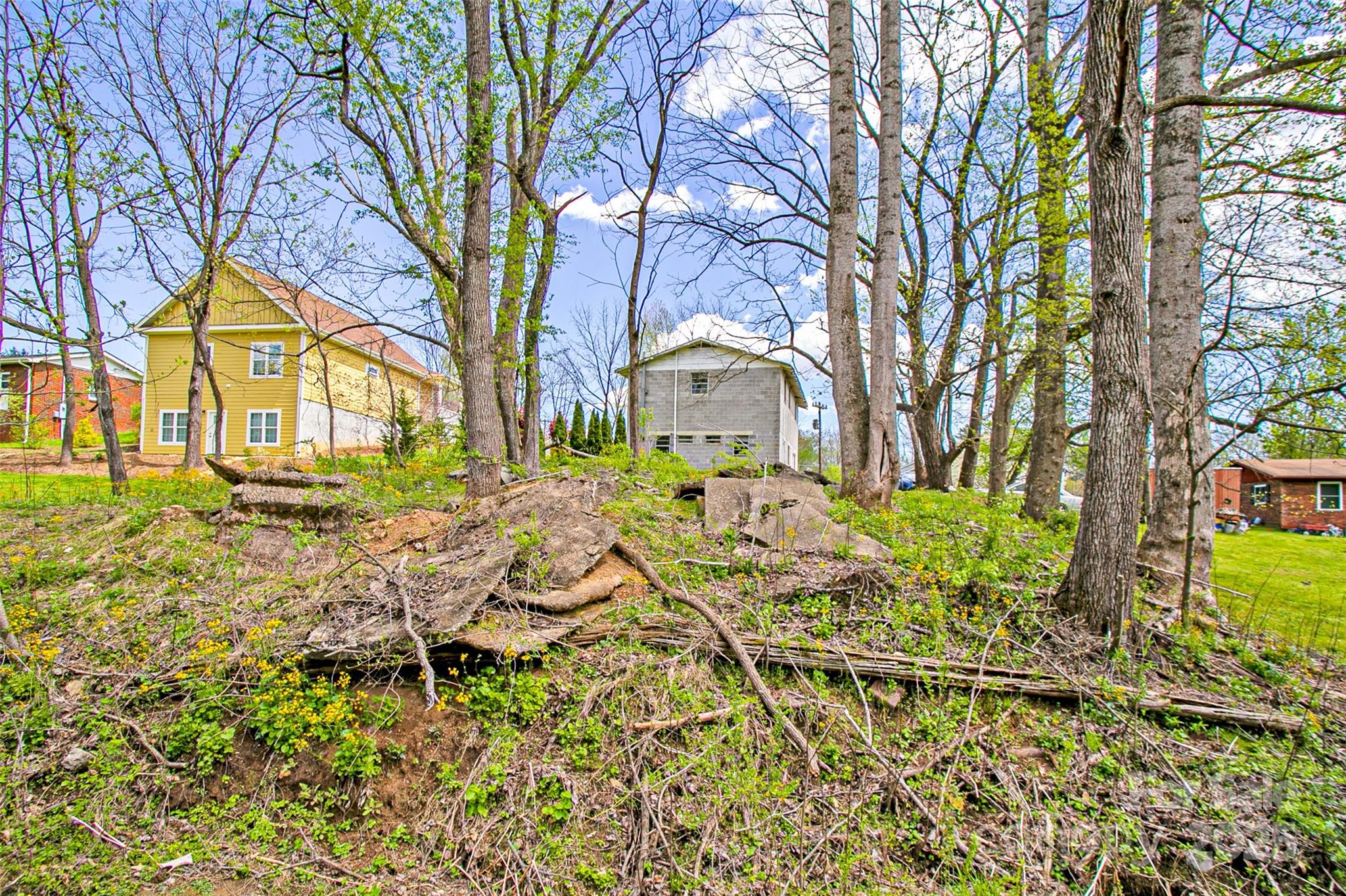 80 Carver Street Brevard NC 28712
