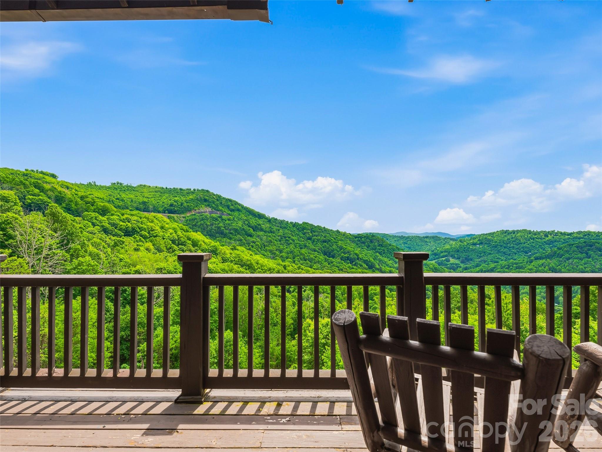 95 Breakaway Trail Mars Hill NC 28754
