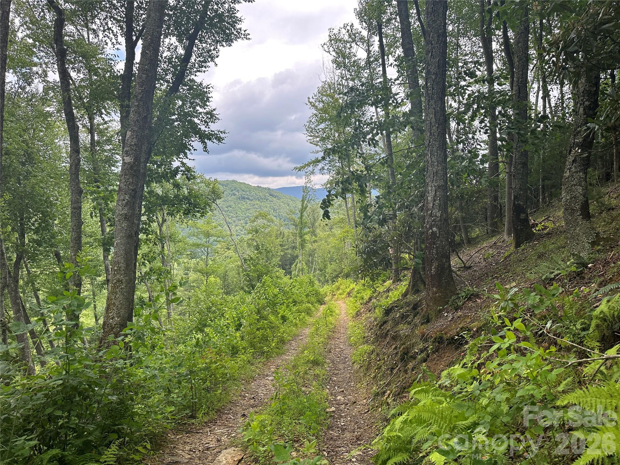 3606 Nc Highway 194 S Sugar Grove NC 28679