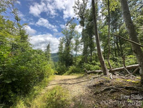 3606 Nc Highway 194 S Sugar Grove NC 28679
