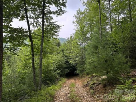 3606 Nc Highway 194 S Sugar Grove NC 28679