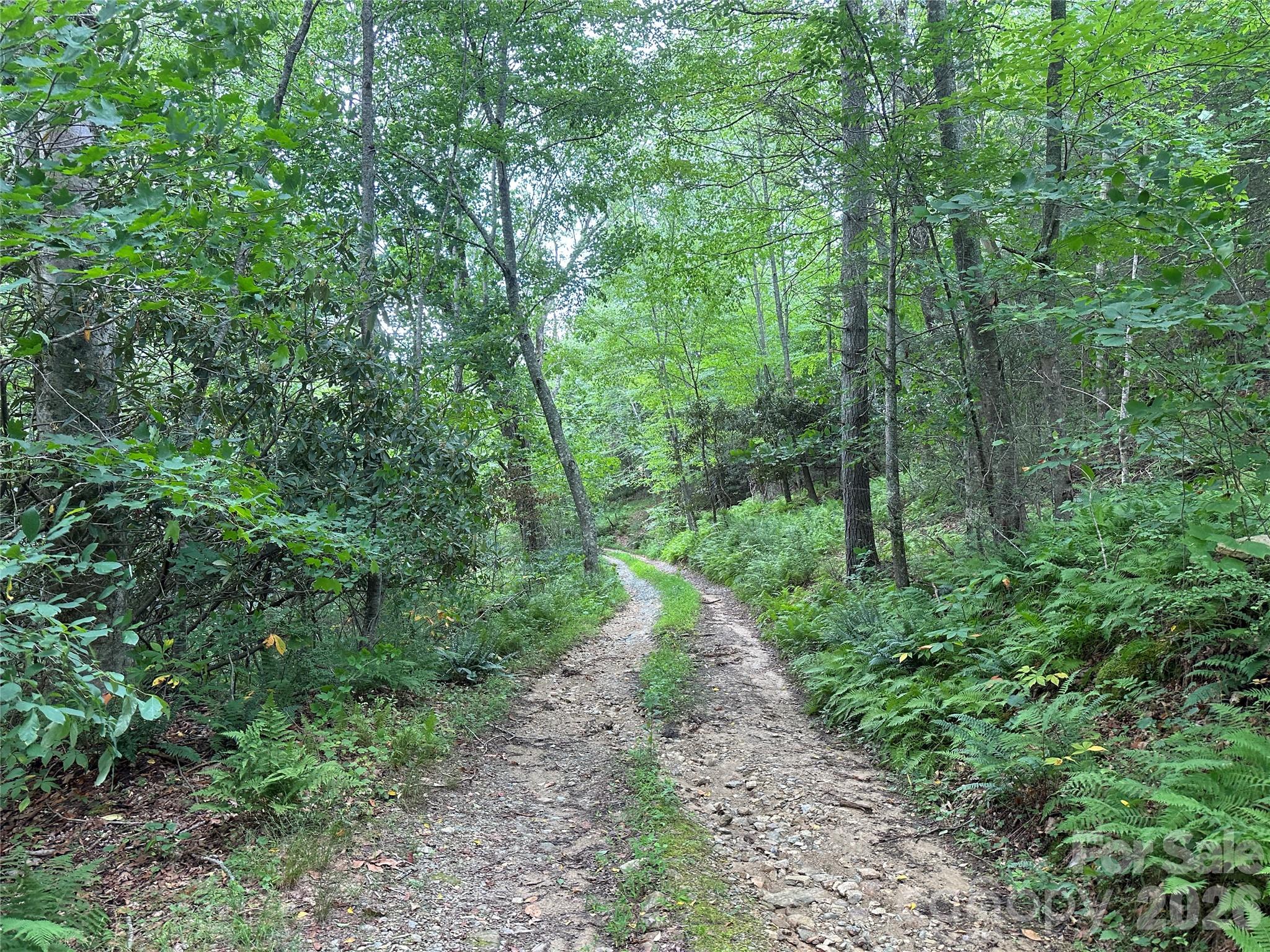 3606 Nc Highway 194 S Sugar Grove NC 28679