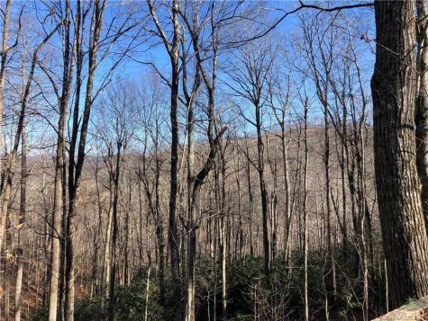 160 Chestnut Ridge Road Spruce Pine NC 28777