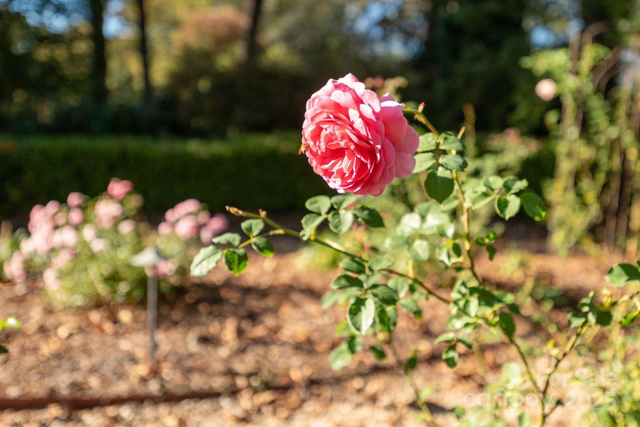 8 Fairway Place Asheville NC 28803