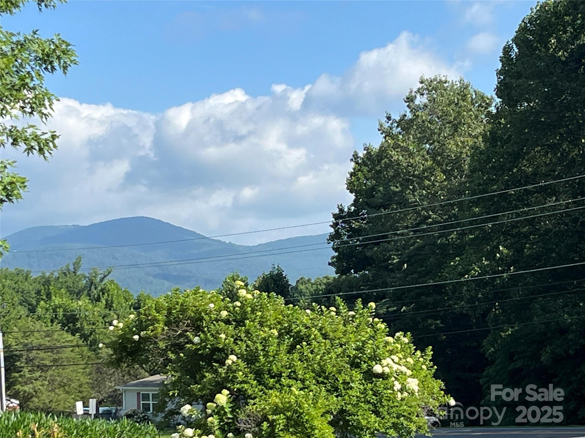 40 Country View Lane Hendersonville NC 28792