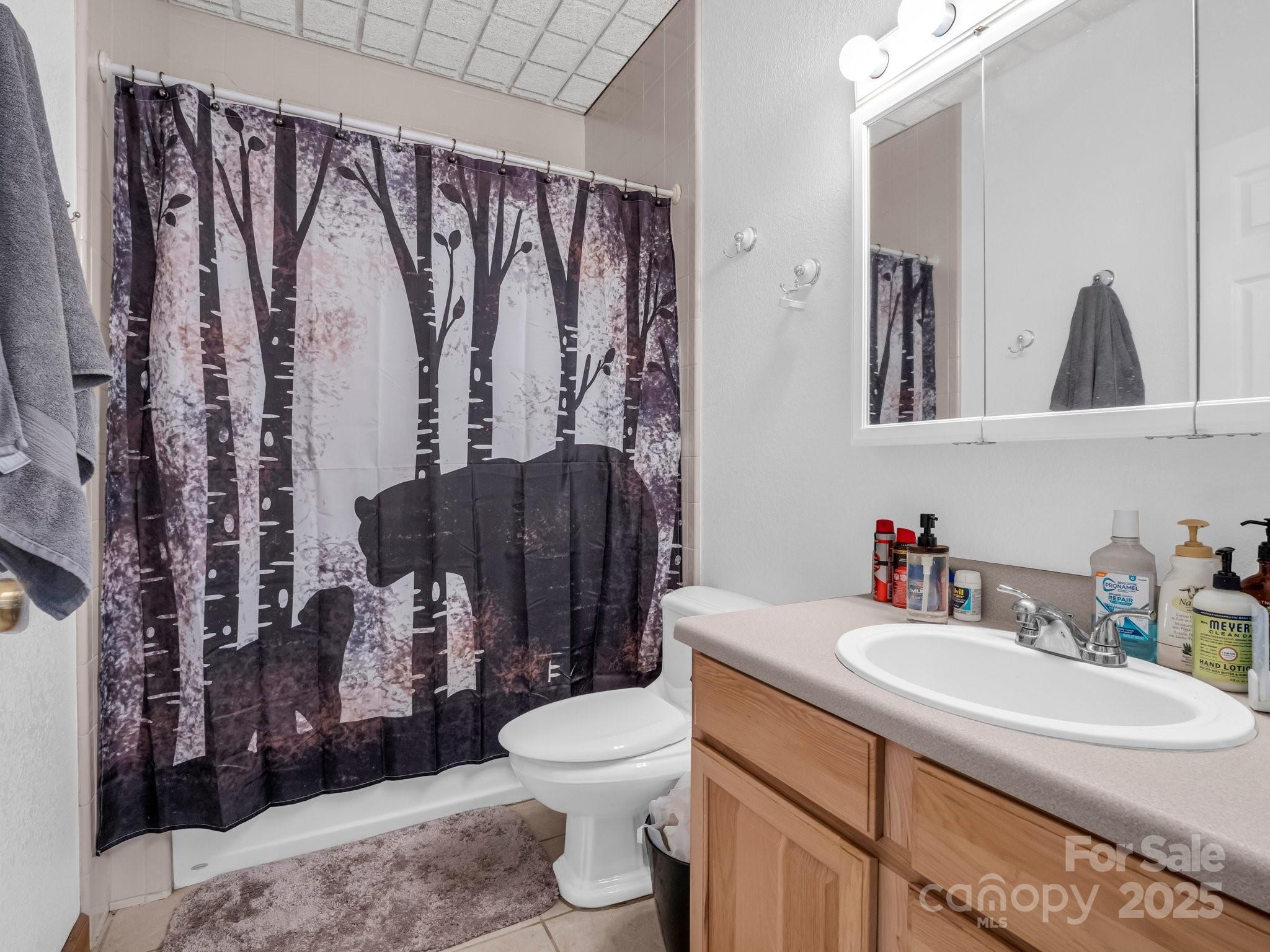 261 Boland Drive Lake Lure NC 28746