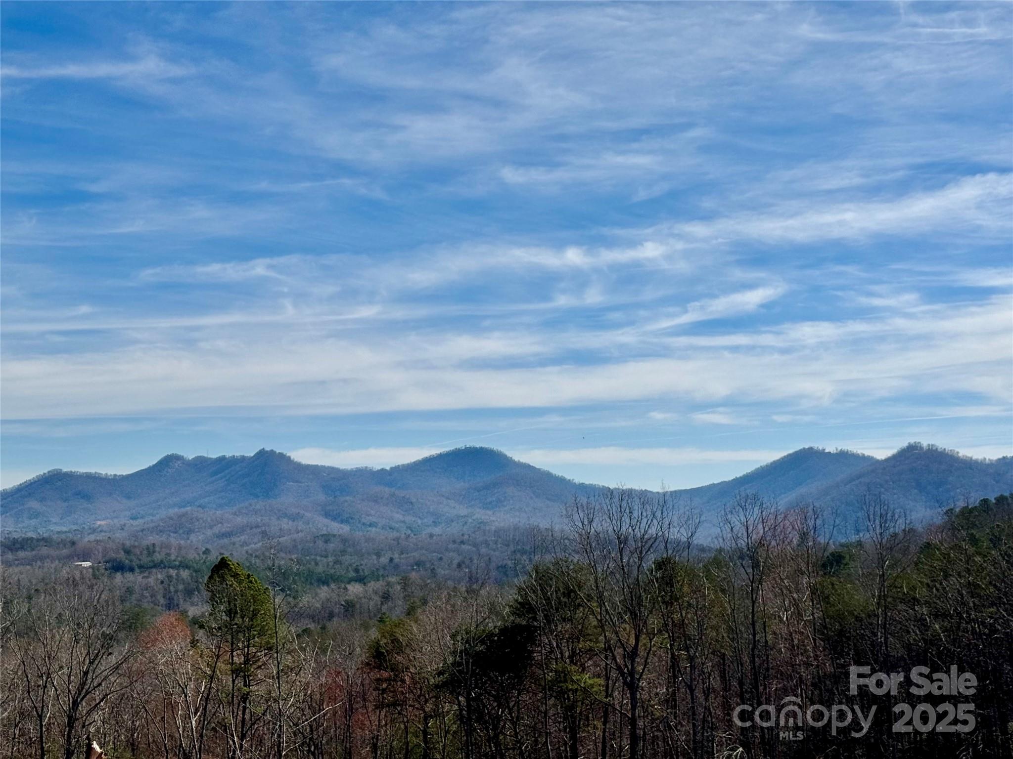 261 Boland Drive Lake Lure NC 28746