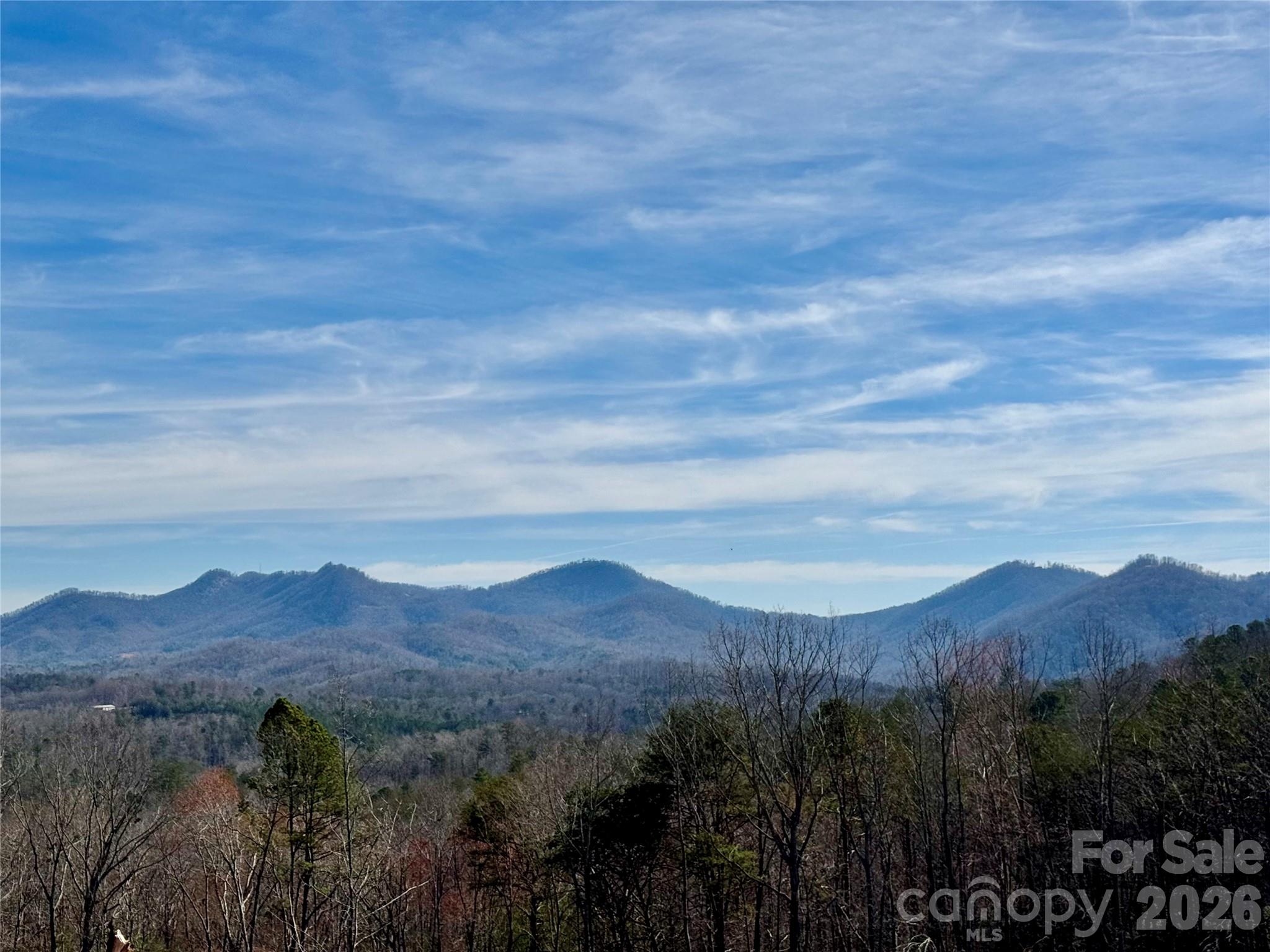 261 Boland Drive Lake Lure NC 28746