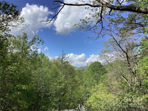 31 Rhododendron Road Black Mountain NC 28711