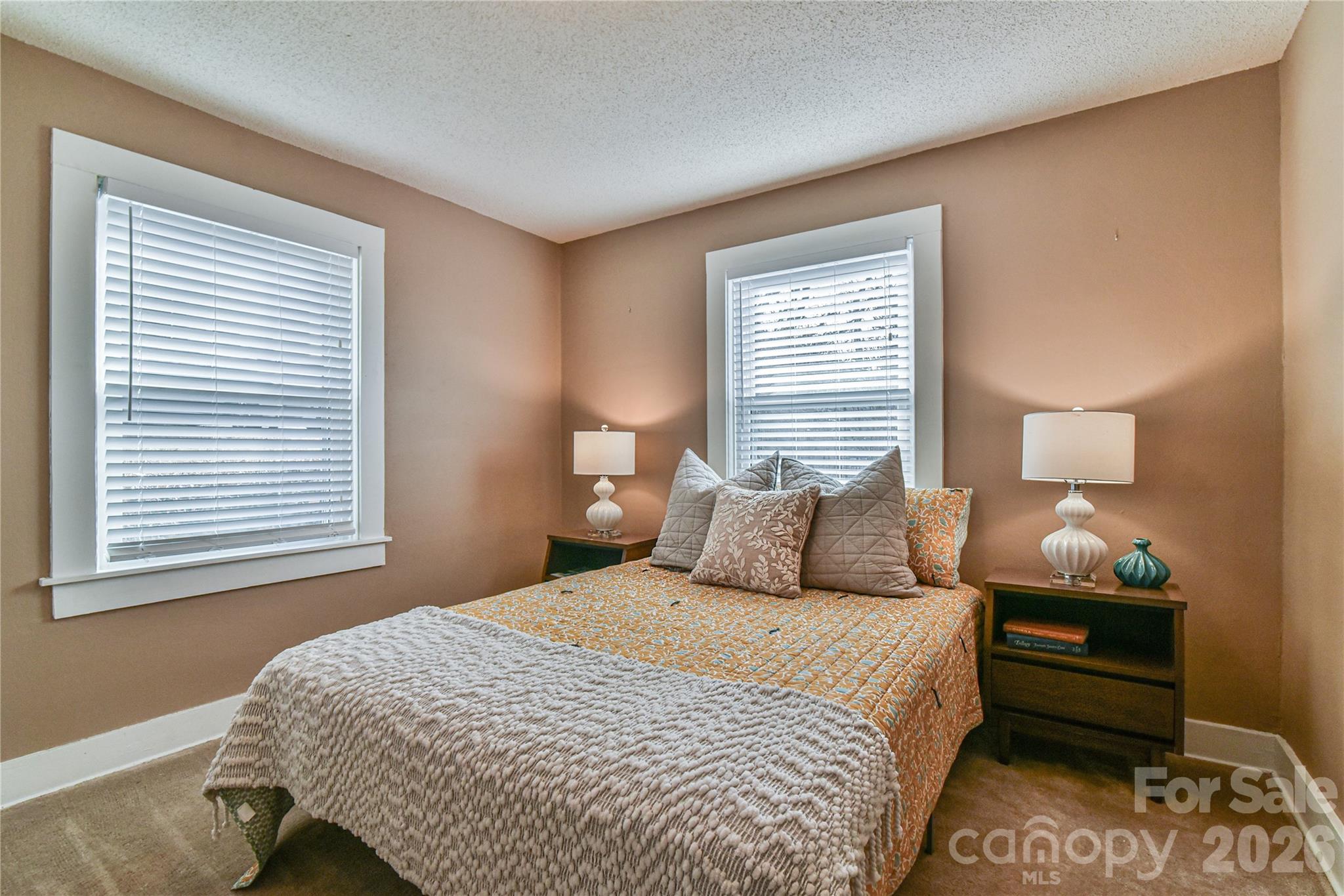 37 Buchanan Place Asheville NC 28801