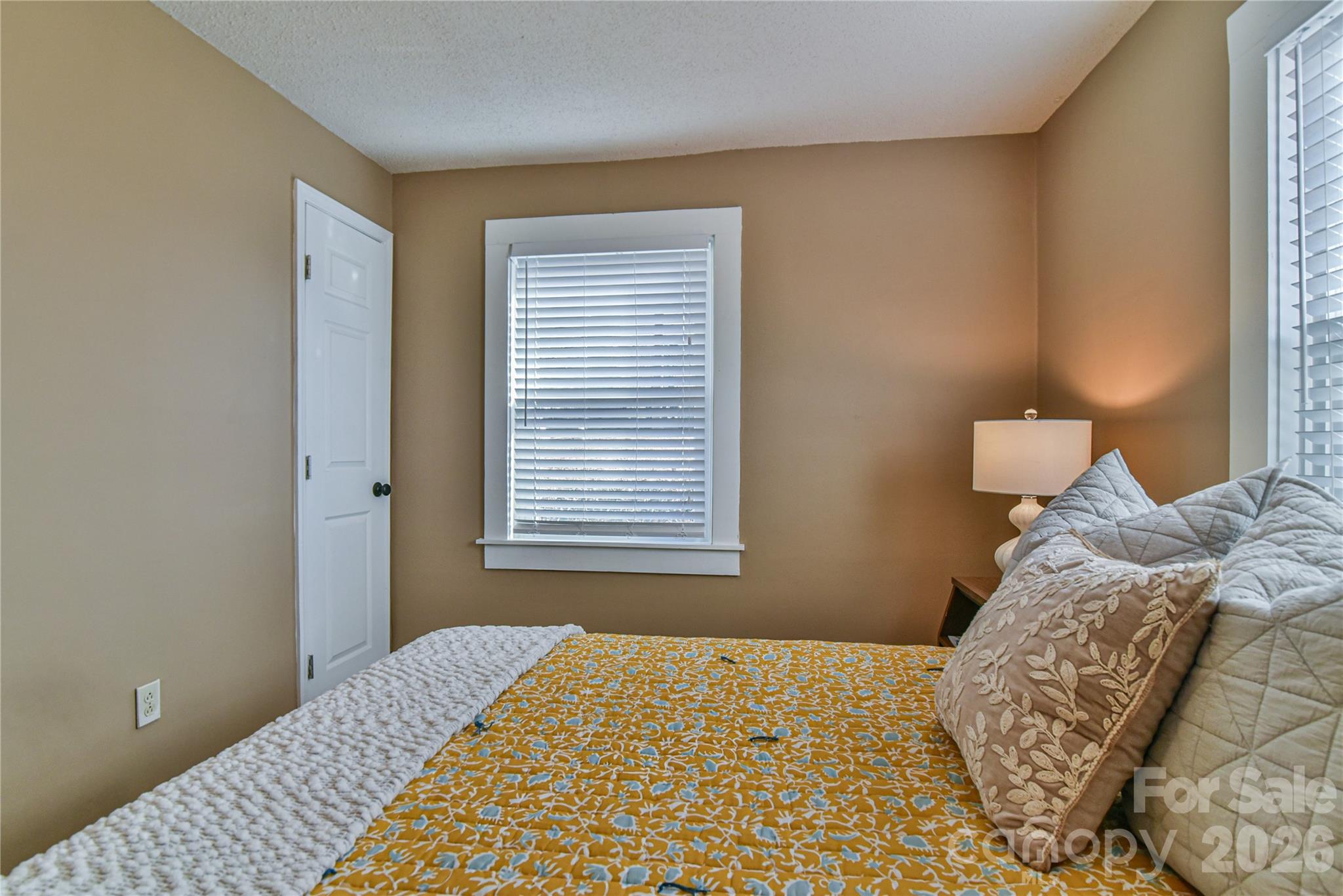 37 Buchanan Place Asheville NC 28801