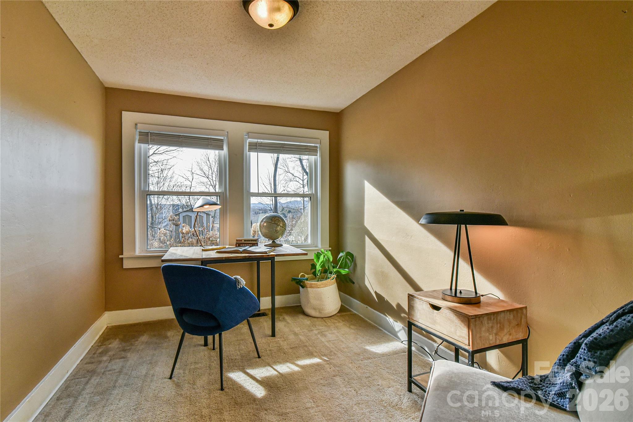 37 Buchanan Place Asheville NC 28801