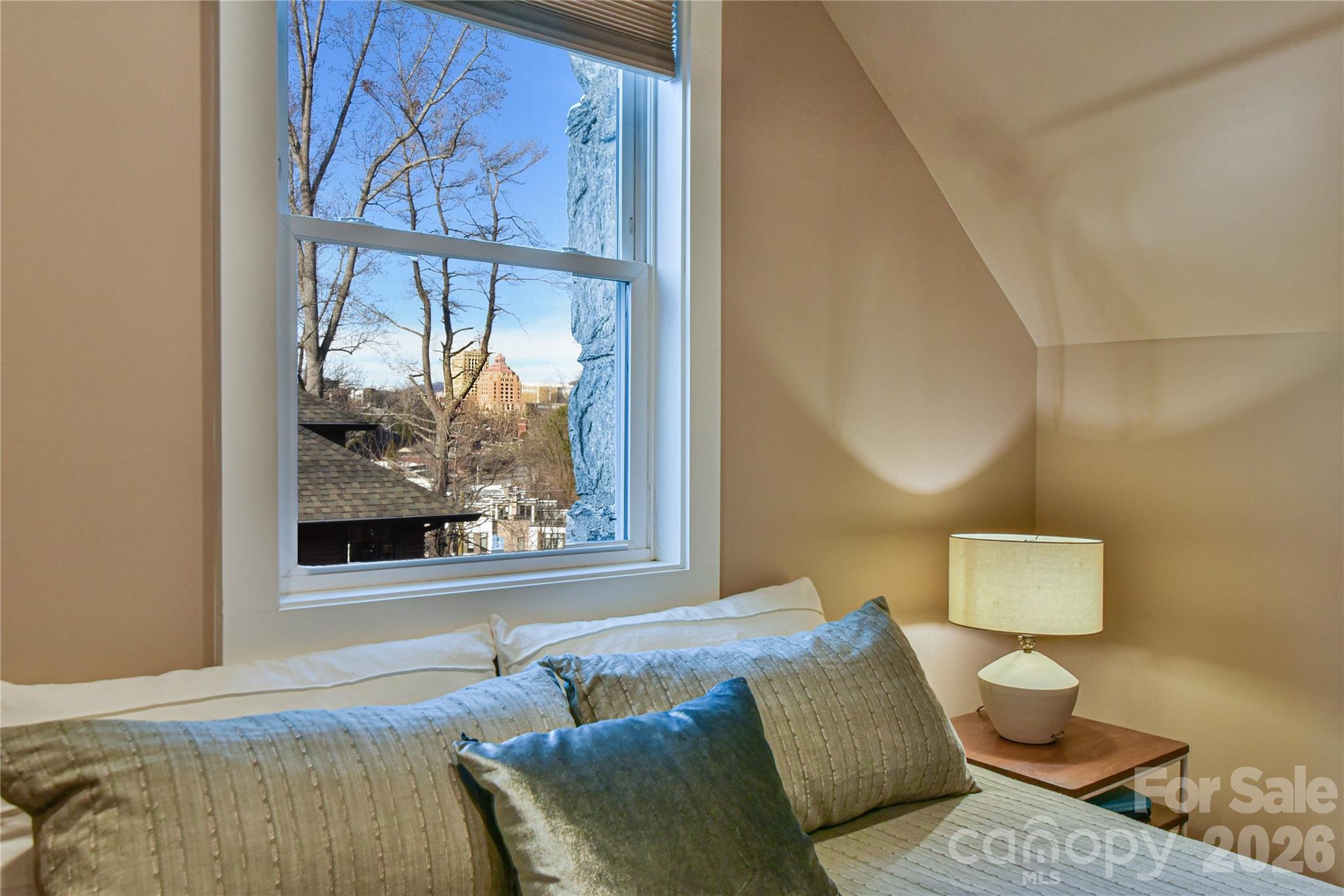 37 Buchanan Place Asheville NC 28801