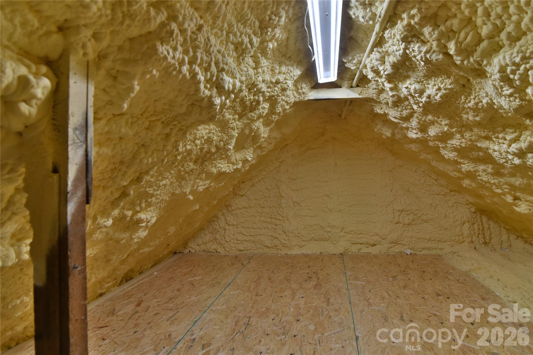 37 Buchanan Place Asheville NC 28801