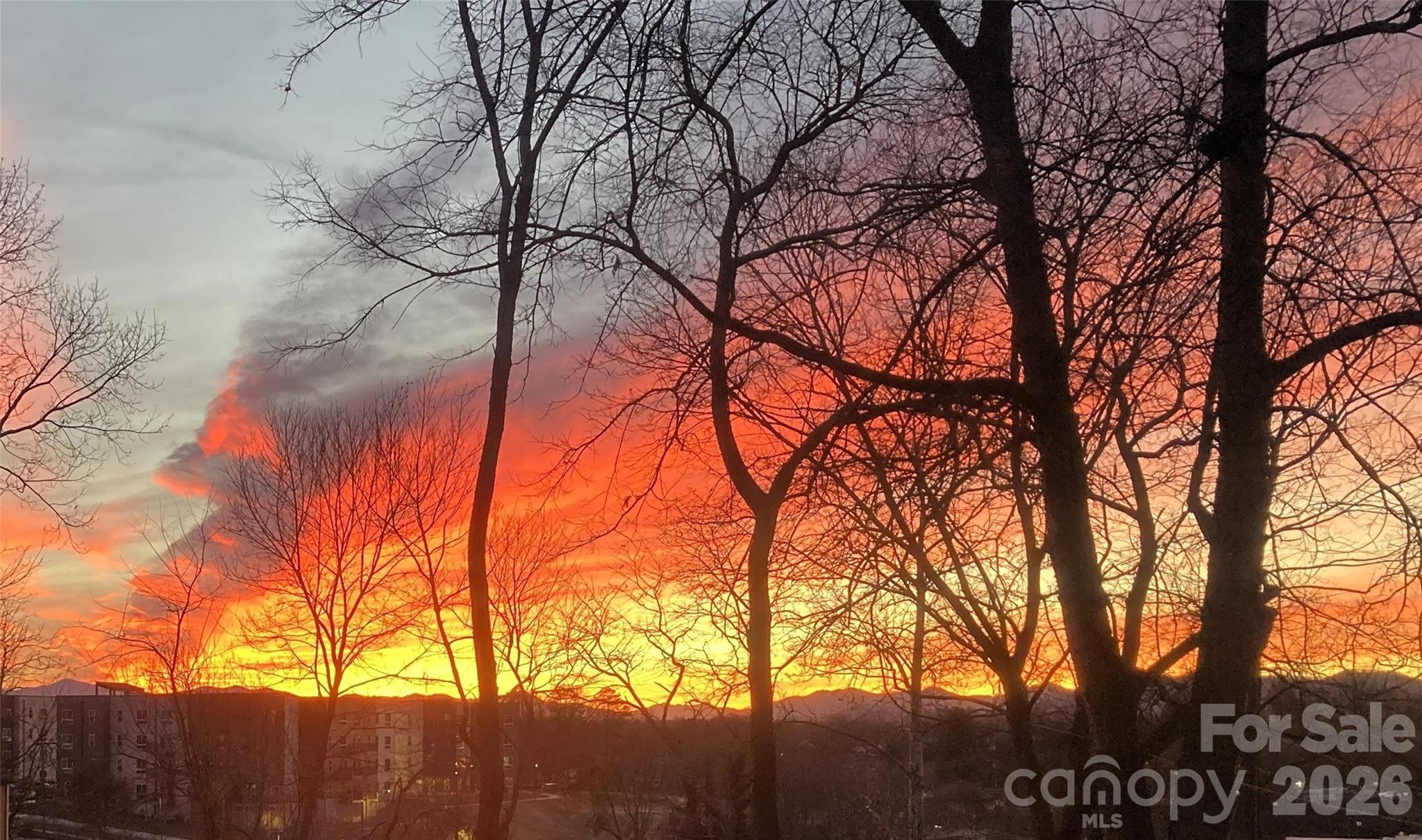 37 Buchanan Place Asheville NC 28801