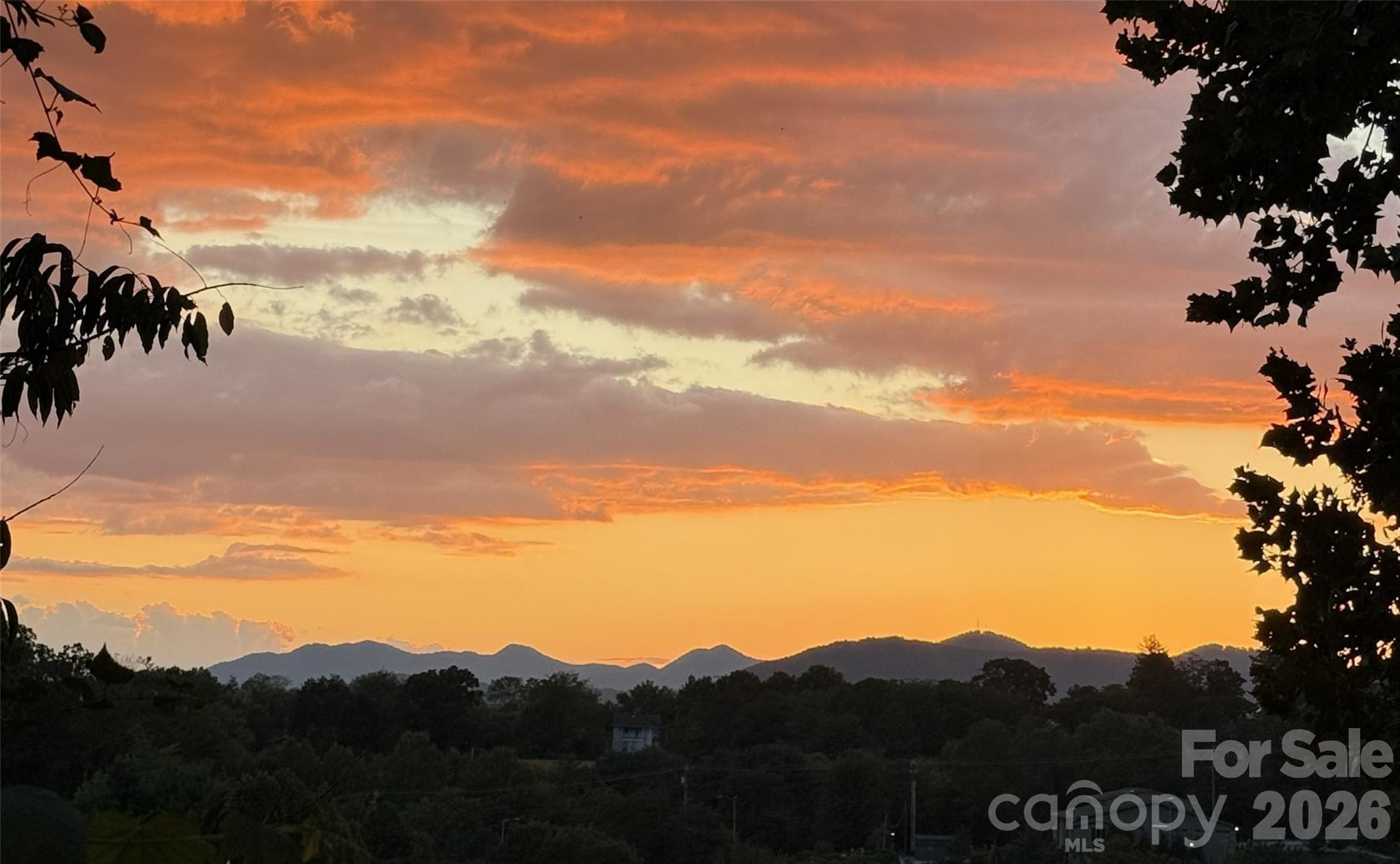 37 Buchanan Place Asheville NC 28801