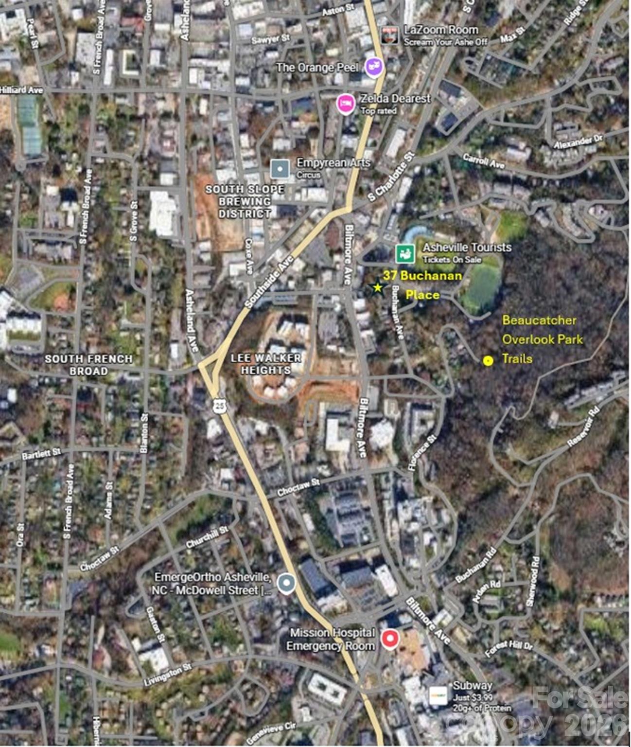 37 Buchanan Place Asheville NC 28801