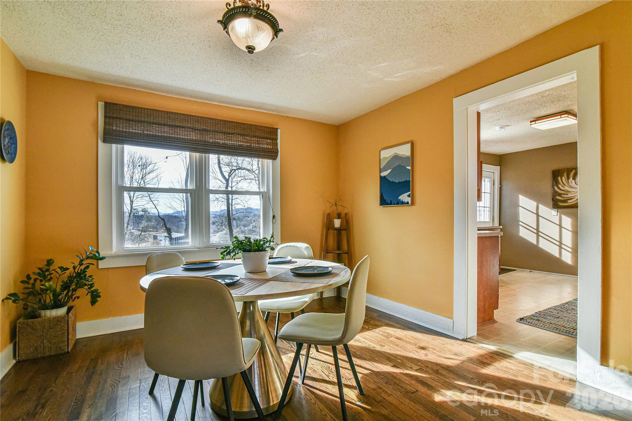 37 Buchanan Place Asheville NC 28801