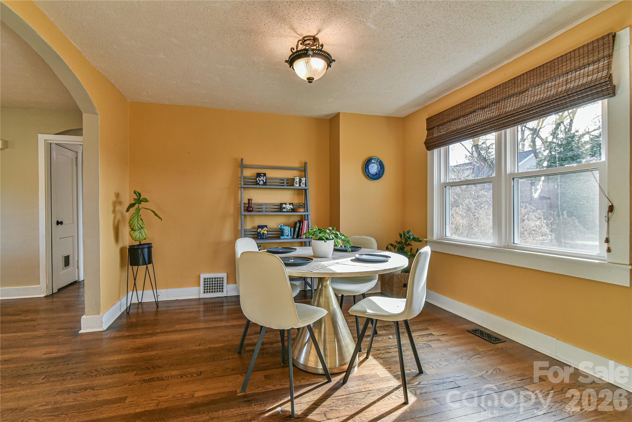 37 Buchanan Place Asheville NC 28801