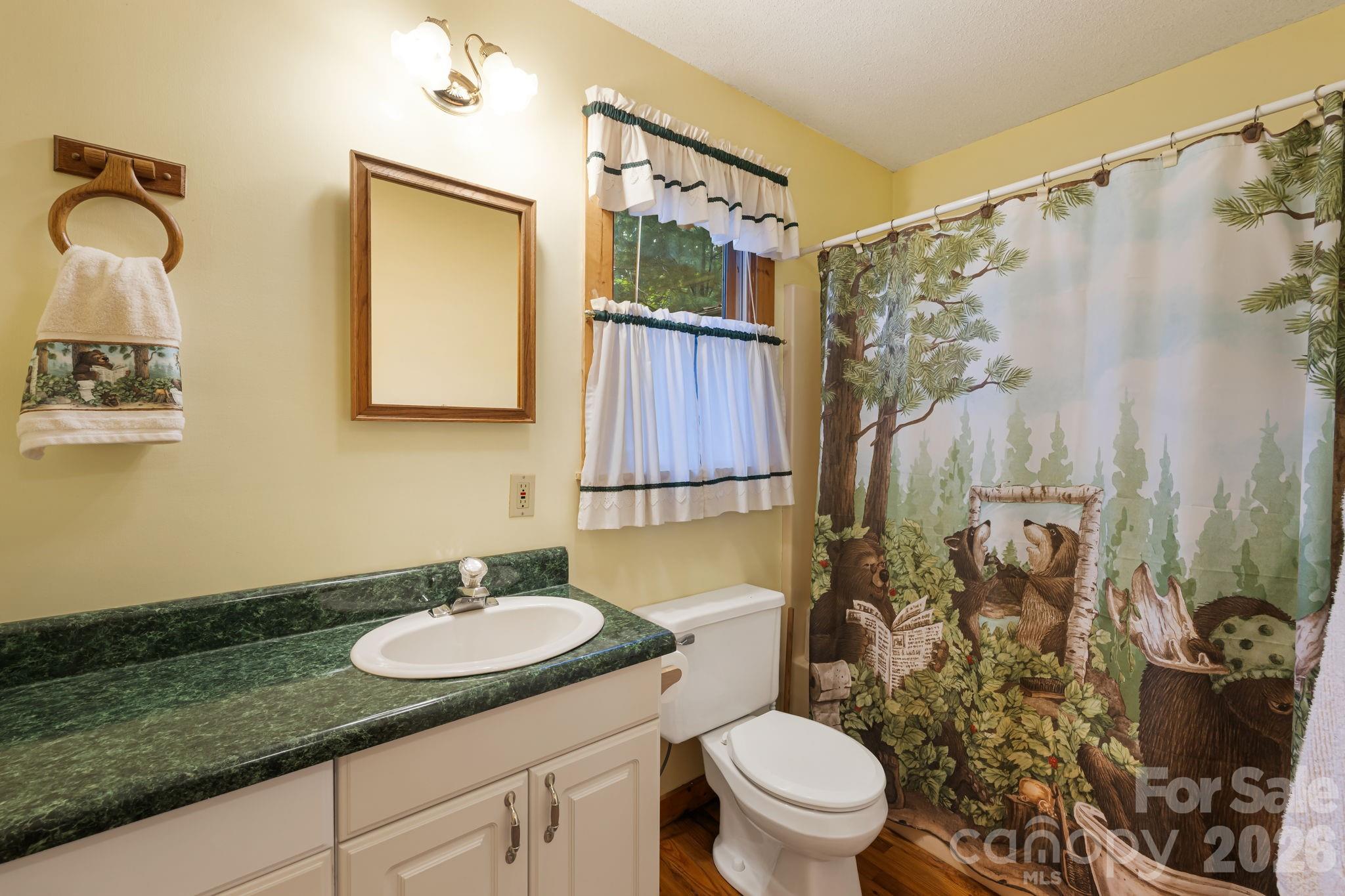 180 Grace Way Green Mountain NC 28740