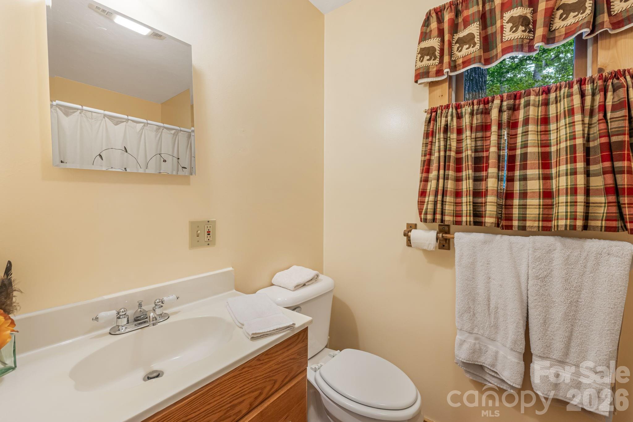 180 Grace Way Green Mountain NC 28740