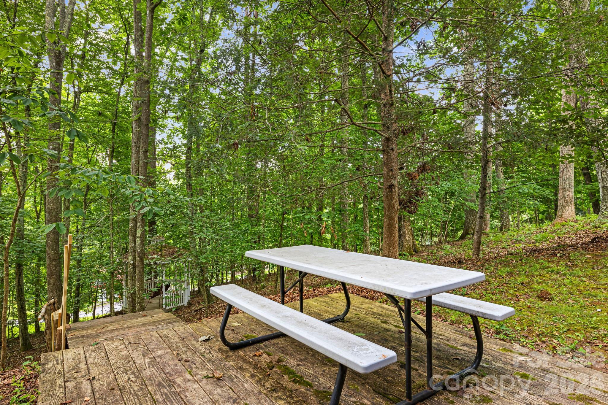 180 Grace Way Green Mountain NC 28740