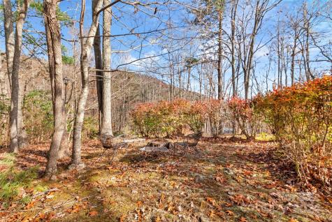 8 Indian Ridge Road Asheville NC 28803