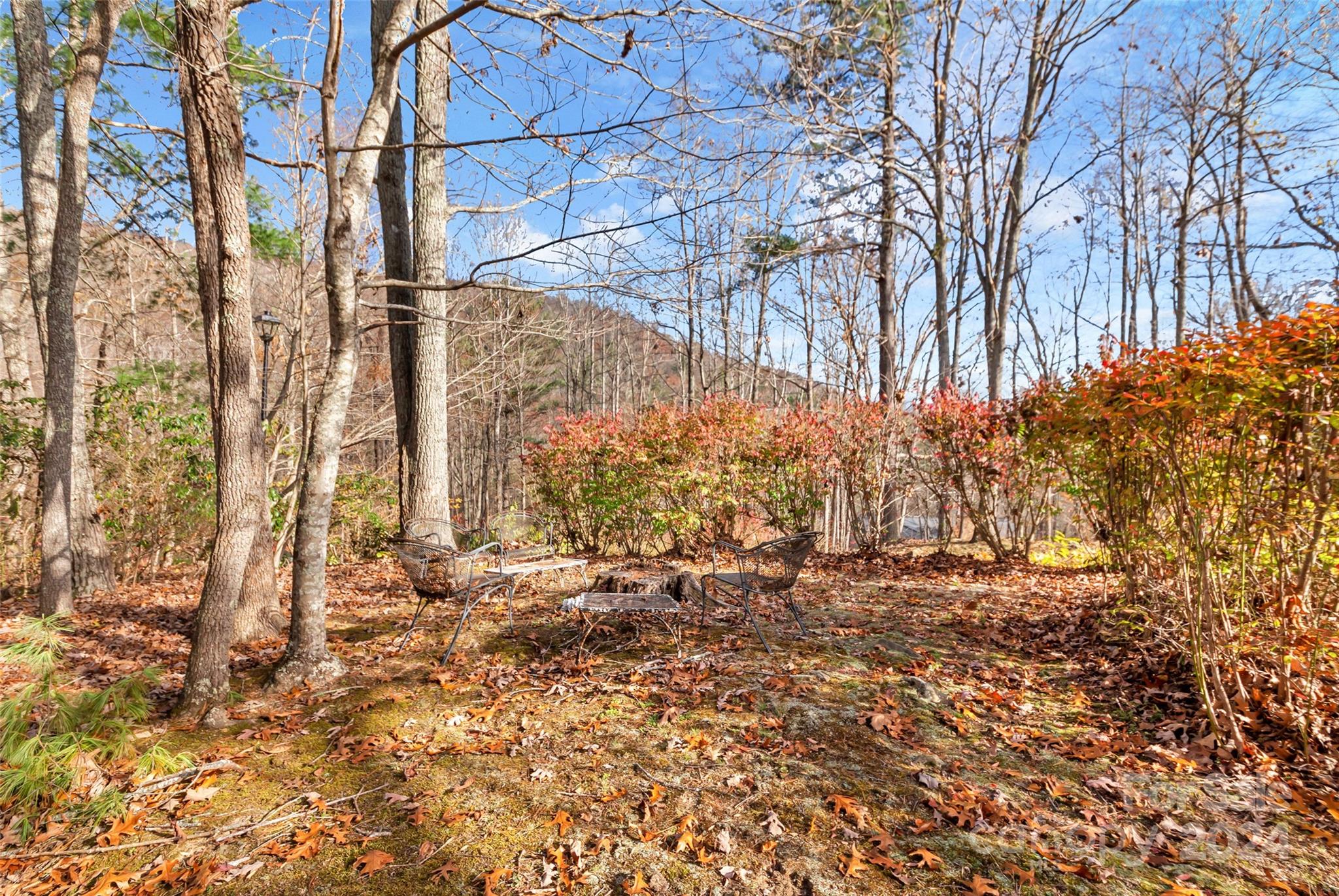 8 Indian Ridge Road Asheville NC 28803