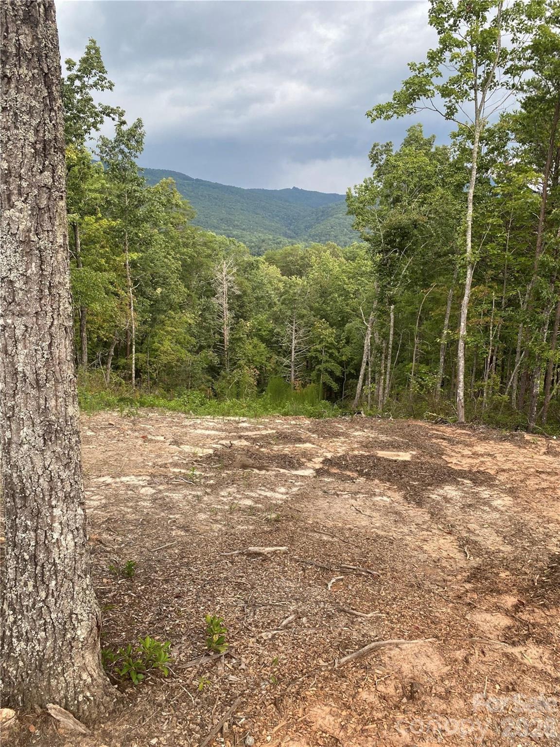 2 Jackson Ridge Lane Mill Spring NC 28756