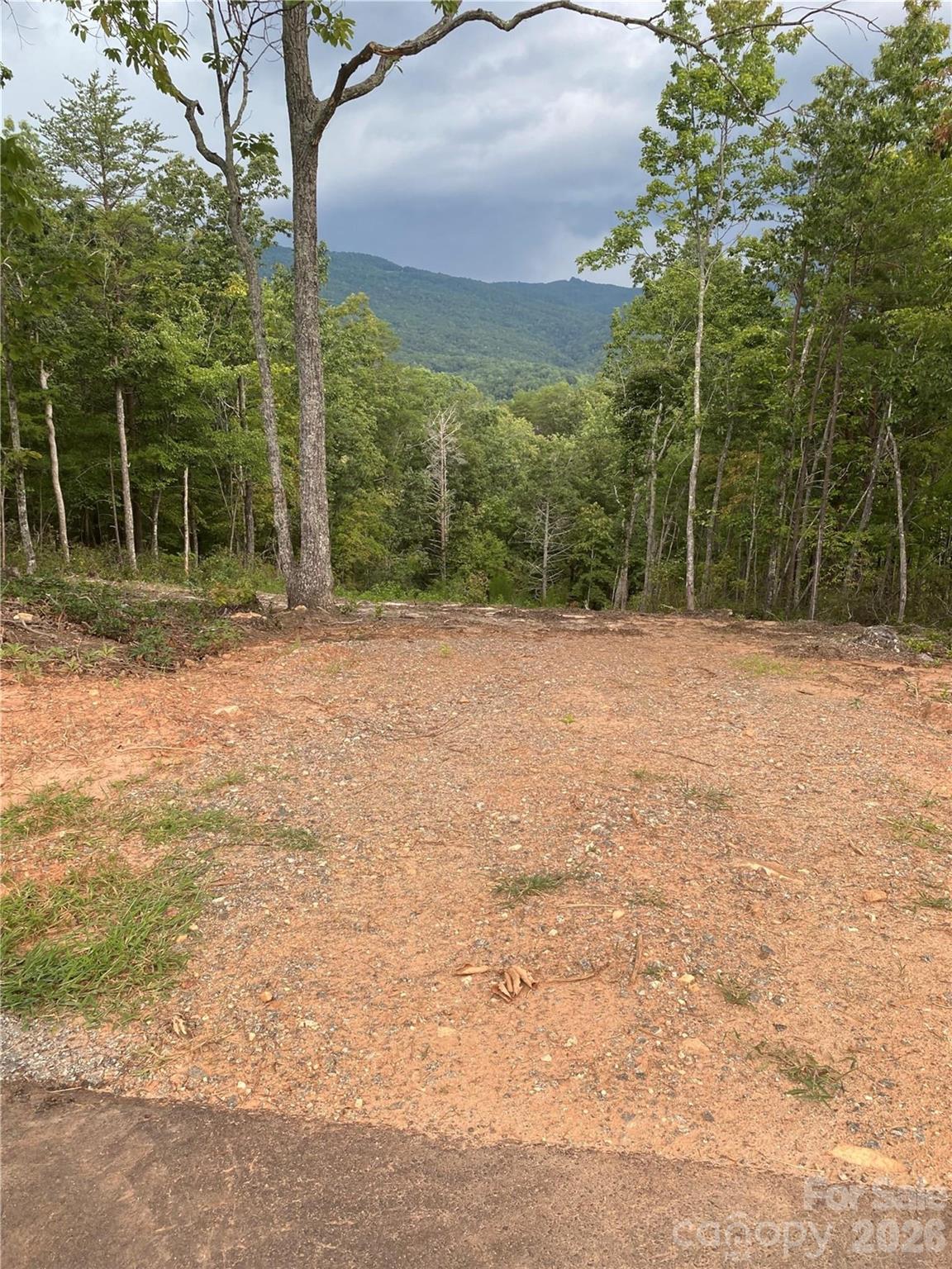 2 Jackson Ridge Lane Mill Spring NC 28756