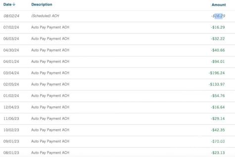 4 Stone River Drive Asheville NC 28804