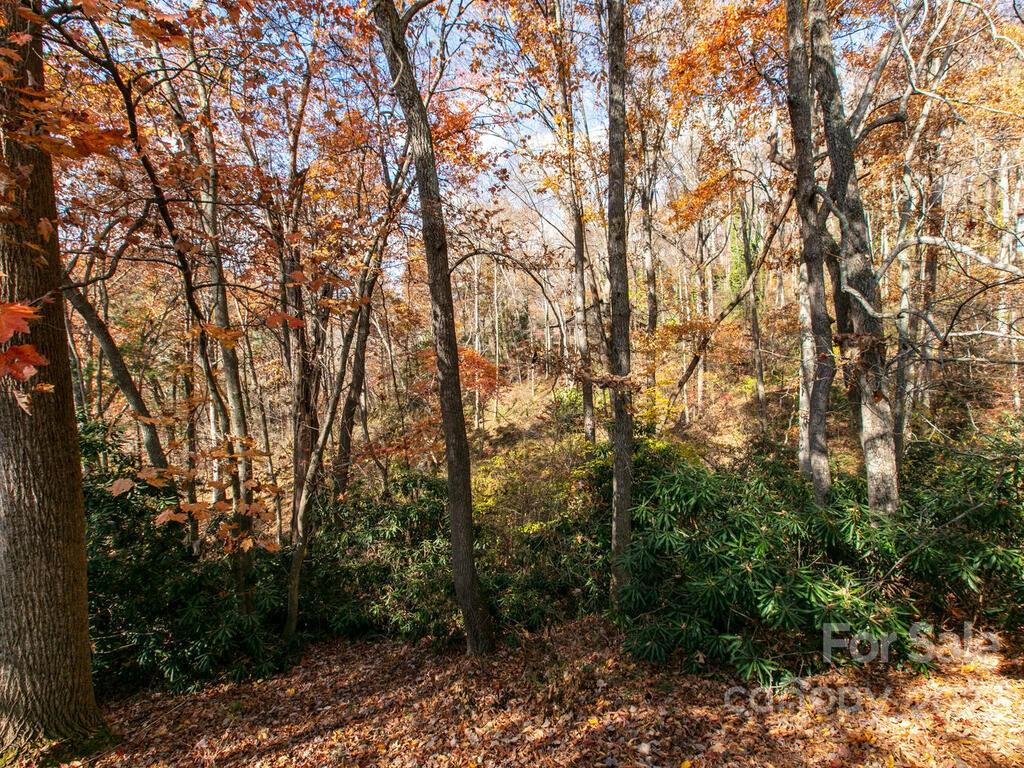 20 Jazaka Ridge Lane Swannanoa NC 28778
