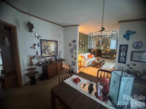 1372 Lickskillet Road Burnsville NC 28714