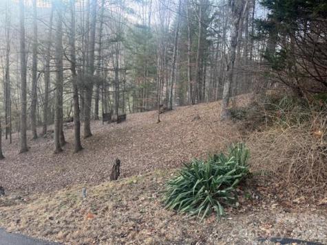 1372 Lickskillet Road Burnsville NC 28714