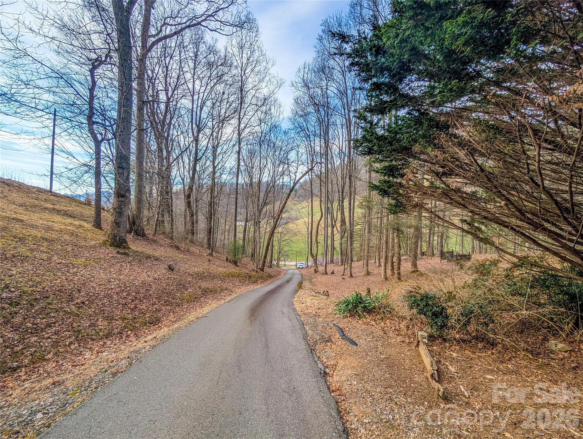 1372 Lickskillet Road Burnsville NC 28714