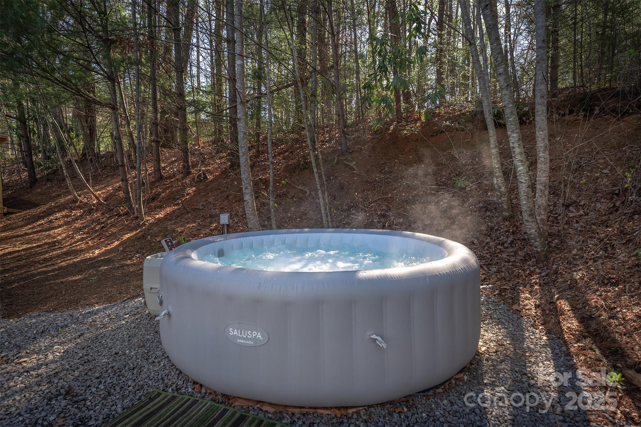 55 Whitaker Circle Fairview NC 28730