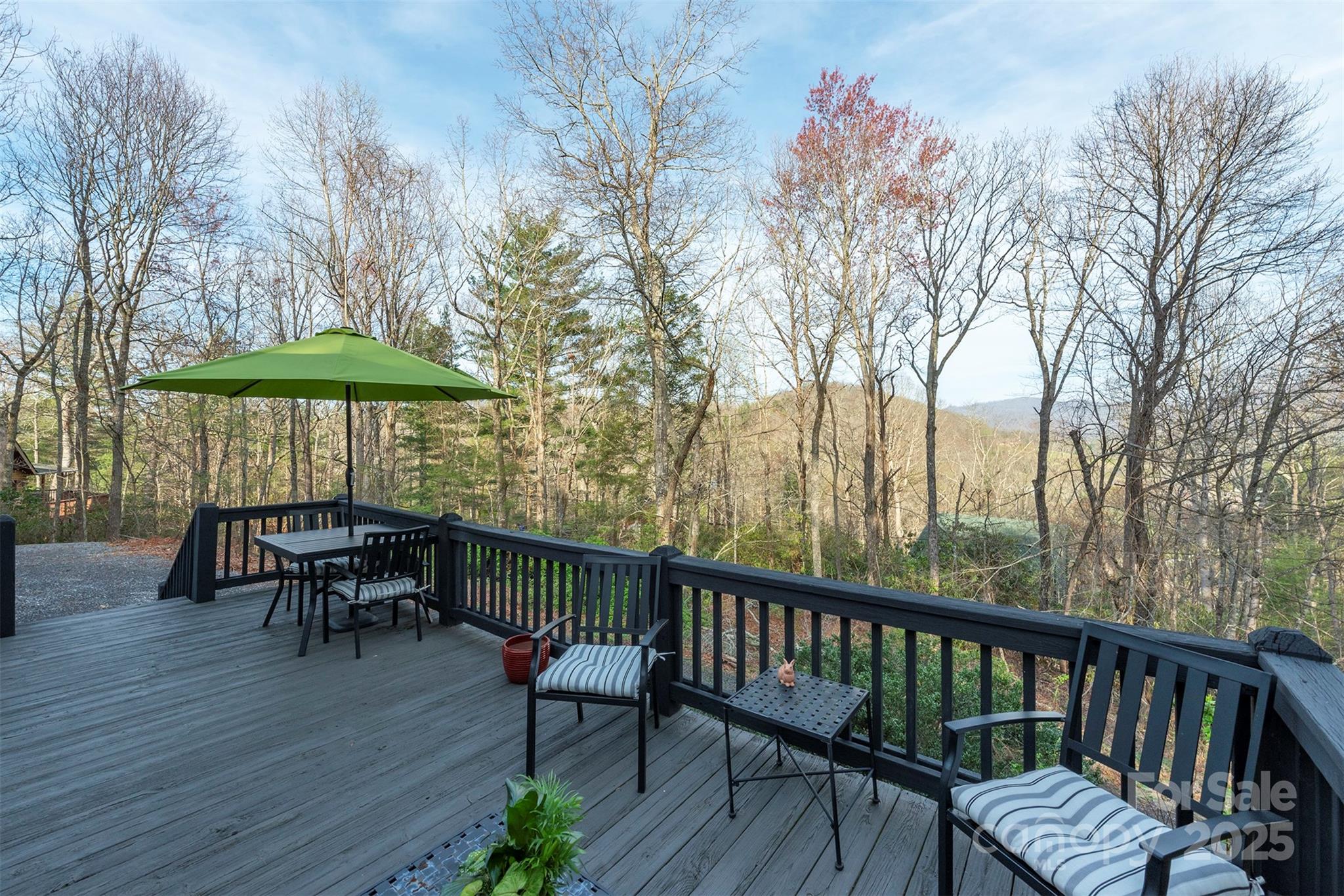 55 Whitaker Circle Fairview NC 28730