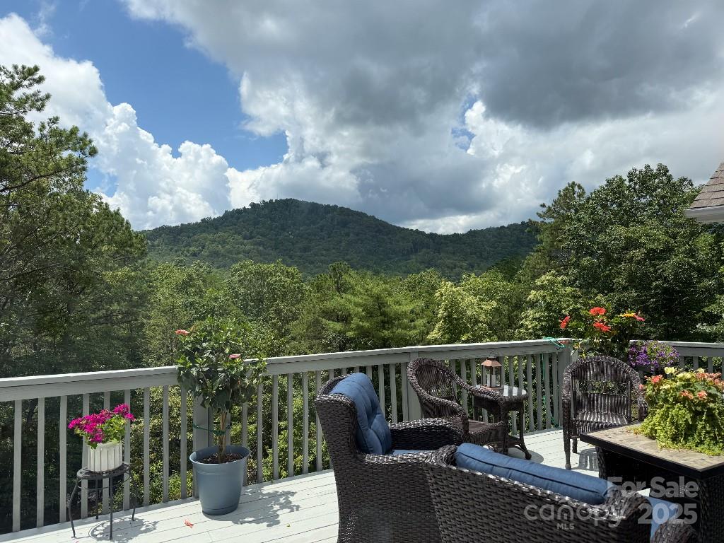 36 Lynx Drive Black Mountain NC 28711