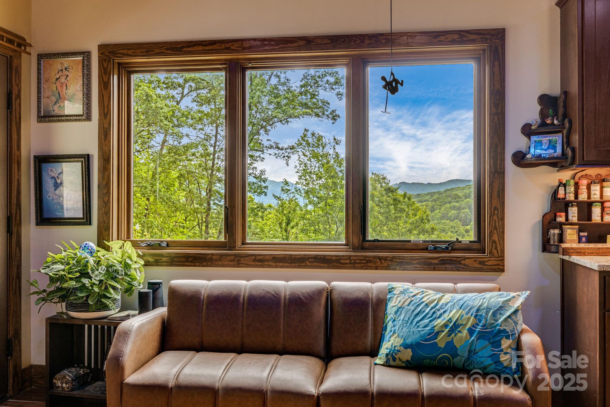 43 Dillingham Estates Trail Swannanoa NC 28778
