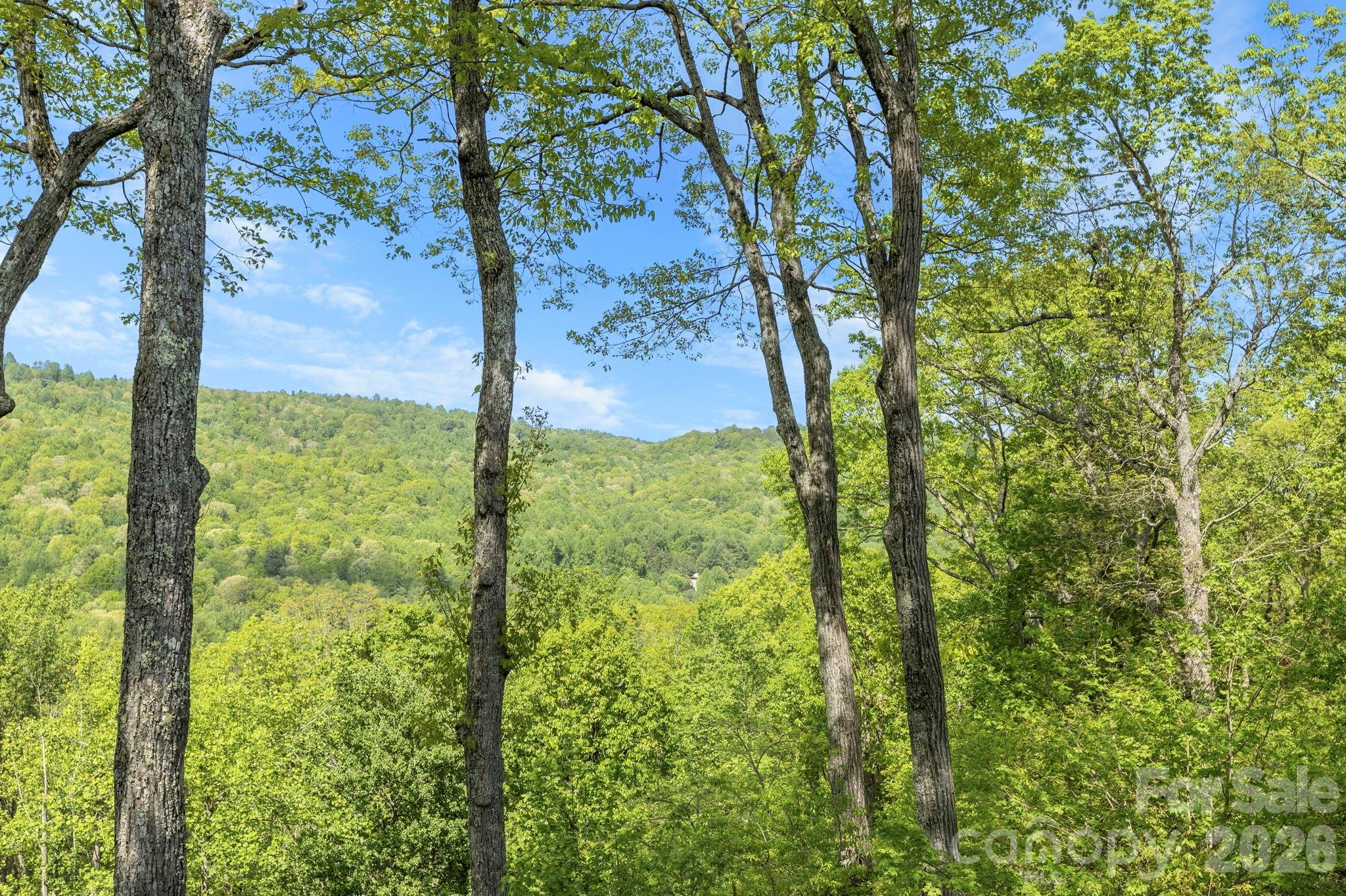8 Spring Ridge Lane Hendersonville NC 28739
