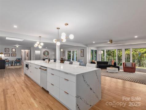 51 & 61 Rice Branch Road Asheville NC 28804