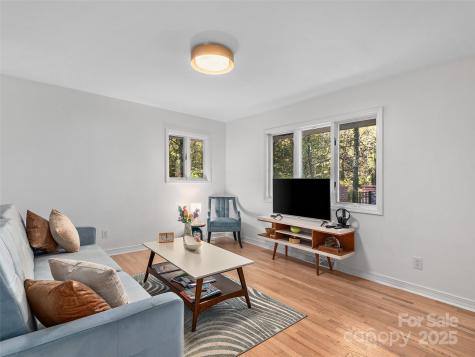 51 & 61 Rice Branch Road Asheville NC 28804