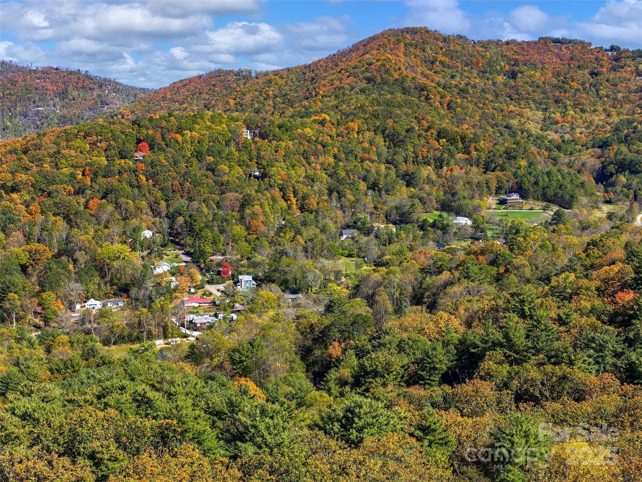 51 & 61 Rice Branch Road Asheville NC 28804