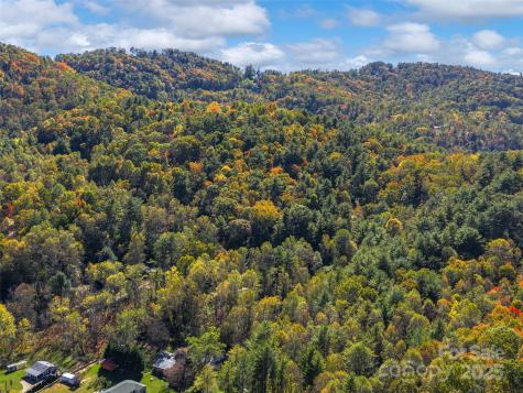 51 & 61 Rice Branch Road Asheville NC 28804