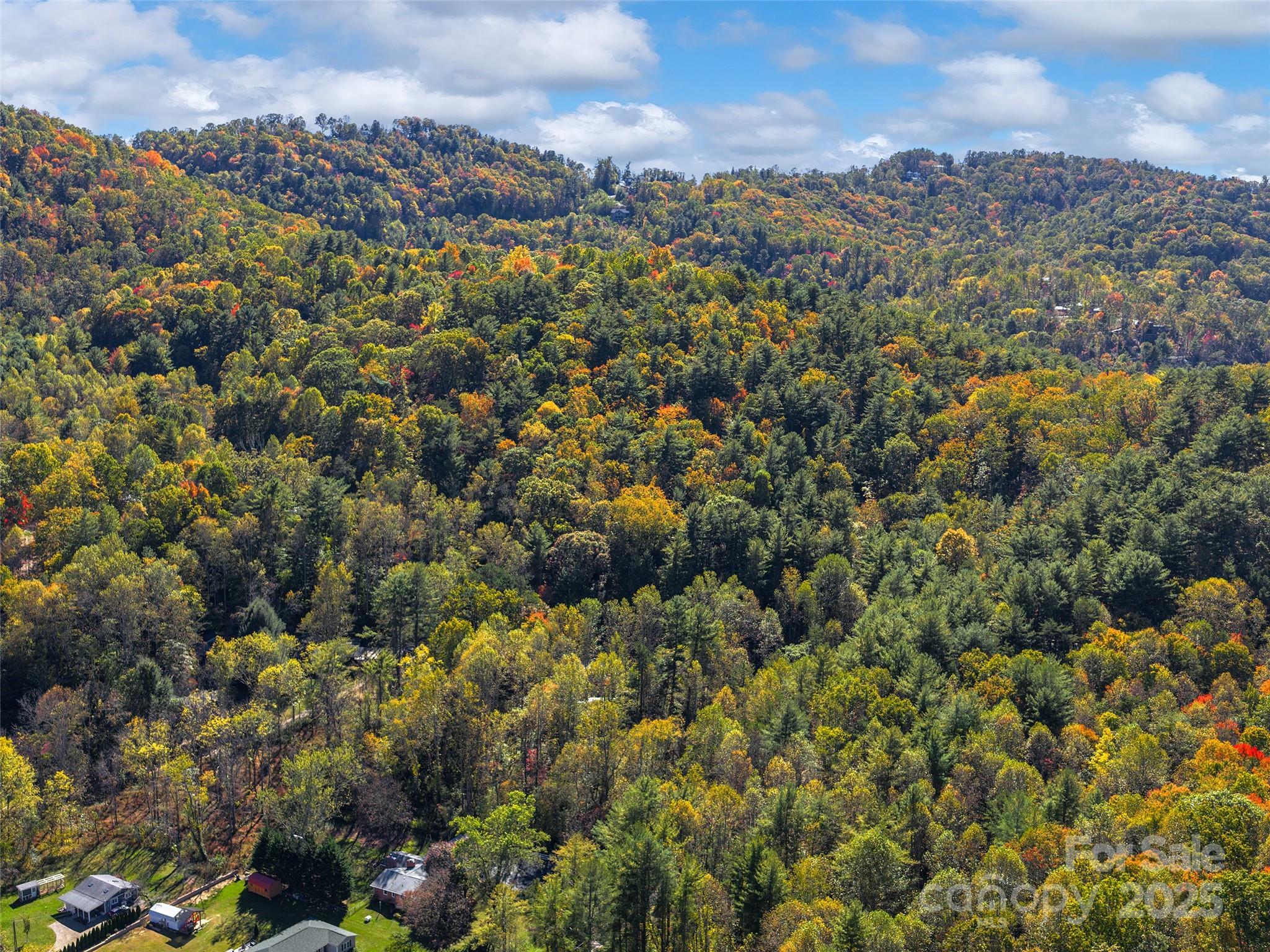 51 & 61 Rice Branch Road Asheville NC 28804