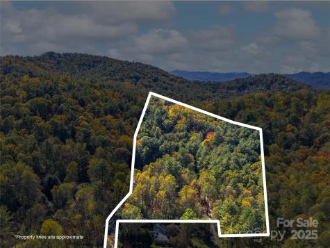 51 & 61 Rice Branch Road Asheville NC 28804