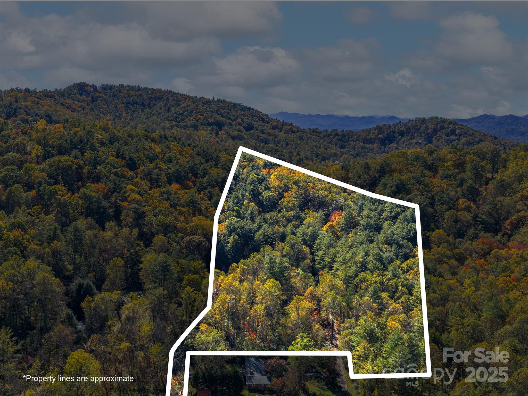 51 & 61 Rice Branch Road Asheville NC 28804