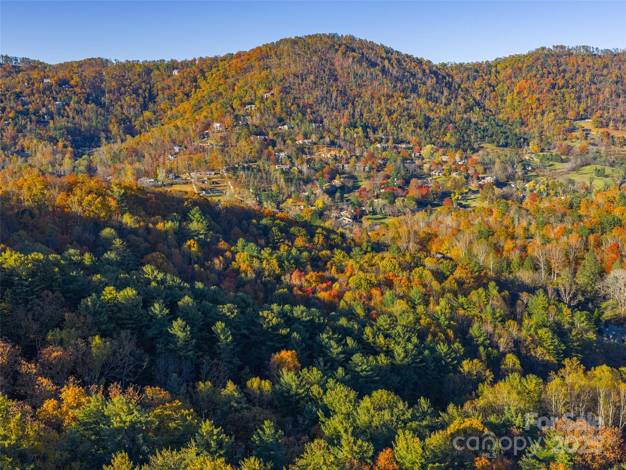 51 & 61 Rice Branch Road Asheville NC 28804