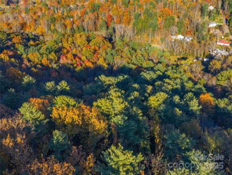 51 & 61 Rice Branch Road Asheville NC 28804