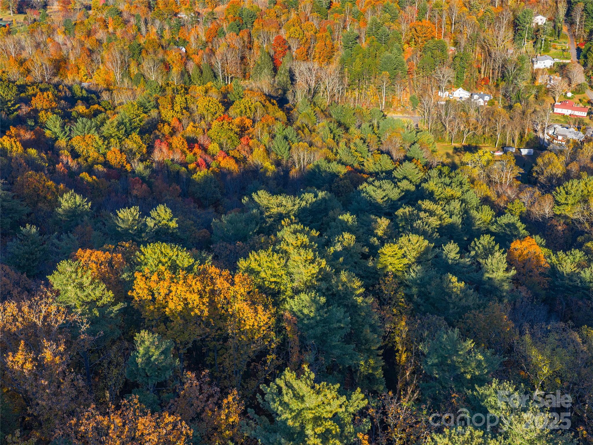 51 & 61 Rice Branch Road Asheville NC 28804